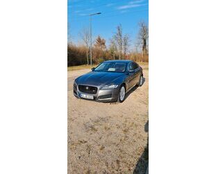 Jaguar XF Gebrauchtwagen