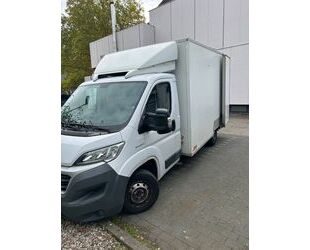 Fiat Ducato Gebrauchtwagen