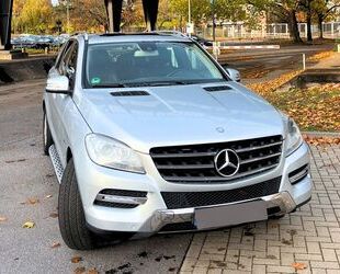 Mercedes-Benz ML 250 Gebrauchtwagen