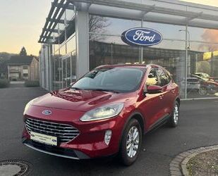 Ford Kuga Gebrauchtwagen