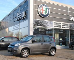 Fiat Panda Gebrauchtwagen