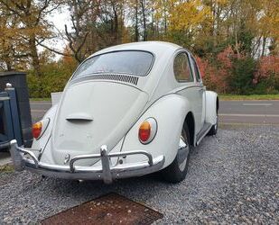 VW Käfer Gebrauchtwagen