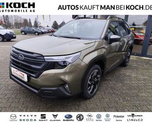 Subaru Forester Gebrauchtwagen