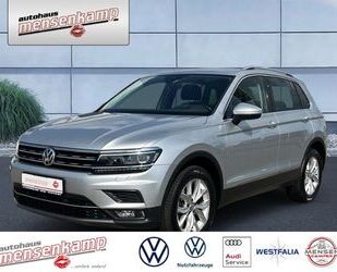VW Tiguan Gebrauchtwagen