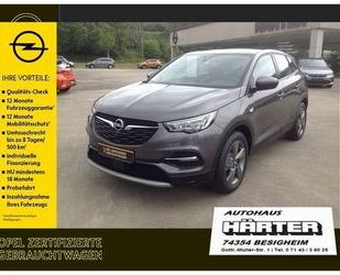 Opel Grandland (X) Gebrauchtwagen