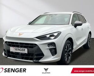 Cupra Terramar Gebrauchtwagen