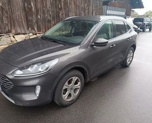 Ford Kuga Gebrauchtwagen