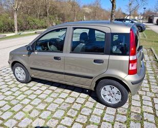 Fiat Panda Gebrauchtwagen