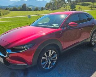 Mazda CX-30 Gebrauchtwagen