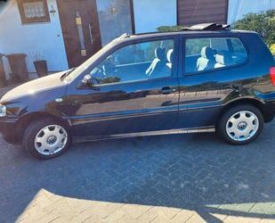 VW Polo Gebrauchtwagen