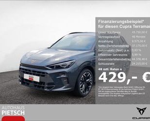 Cupra Terramar Gebrauchtwagen