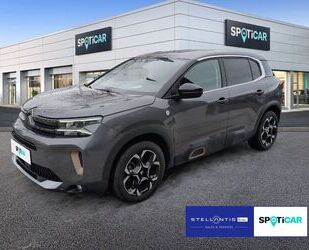 Citroen C5 Aircross Gebrauchtwagen