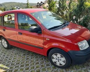 Fiat Panda Gebrauchtwagen