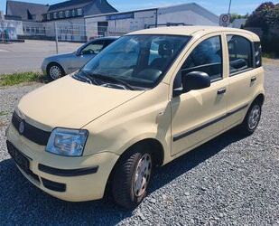 Fiat Panda Gebrauchtwagen