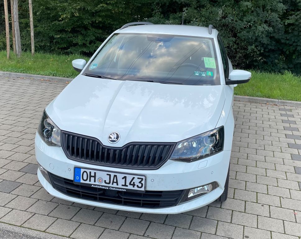 Bild 1