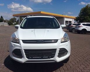 Ford Kuga Gebrauchtwagen