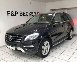 Mercedes-Benz ML 250 Gebrauchtwagen