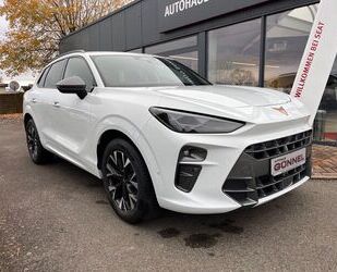 Cupra Terramar Gebrauchtwagen