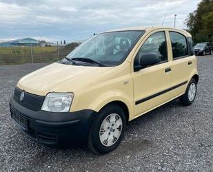 Fiat Panda Gebrauchtwagen