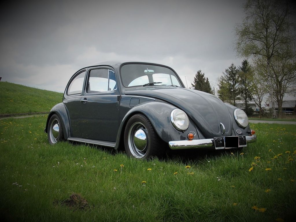 Bild 1