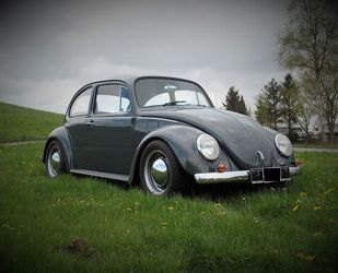 VW Käfer Gebrauchtwagen