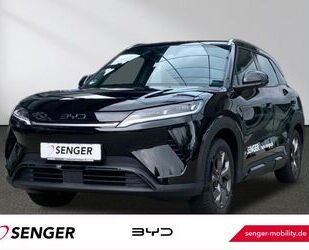 BYD ATTO 2 Gebrauchtwagen