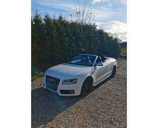 Audi S5 Gebrauchtwagen