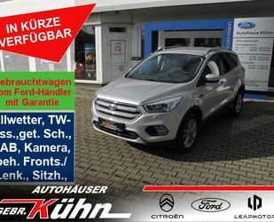 Ford Kuga Gebrauchtwagen