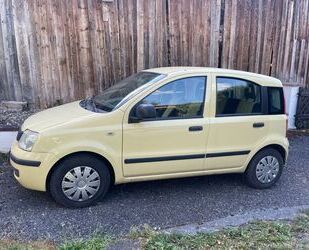 Fiat Panda Gebrauchtwagen