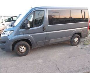 Fiat Ducato Gebrauchtwagen