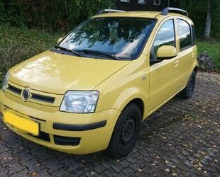 Fiat Panda Gebrauchtwagen