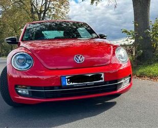 VW Beetle Gebrauchtwagen