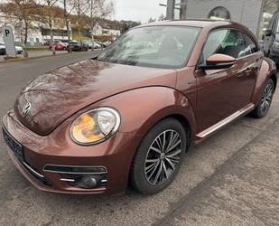 VW Beetle Gebrauchtwagen