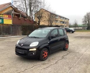 Fiat Panda Gebrauchtwagen
