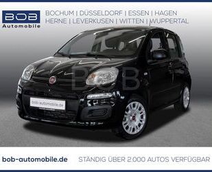 Fiat Panda Gebrauchtwagen