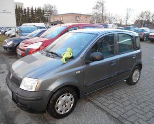 Fiat Panda Gebrauchtwagen