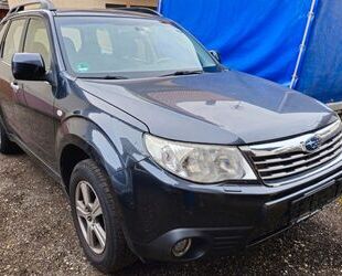 Subaru Forester Gebrauchtwagen