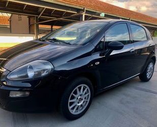 Fiat Punto Evo Gebrauchtwagen