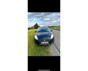 Fiat Punto Gebrauchtwagen