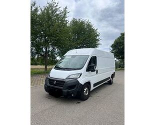 Fiat Ducato Gebrauchtwagen