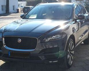 Jaguar F-Pace Gebrauchtwagen