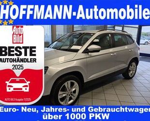 Skoda Karoq Gebrauchtwagen