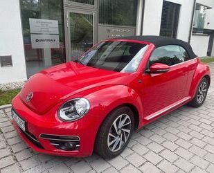 VW Beetle Gebrauchtwagen