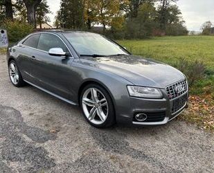 Audi S5 Gebrauchtwagen