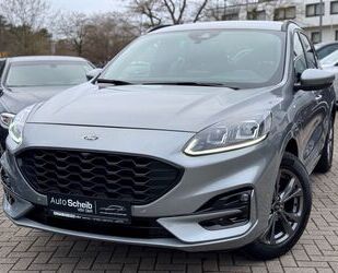 Ford Kuga Gebrauchtwagen