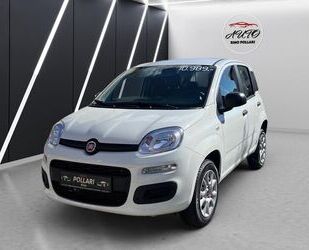 Fiat New Panda Gebrauchtwagen