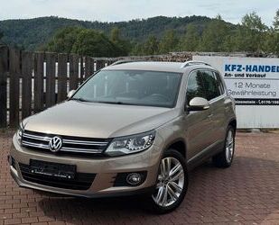 VW Tiguan Gebrauchtwagen