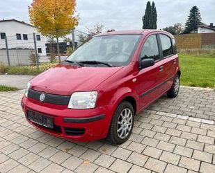 Fiat Panda Gebrauchtwagen