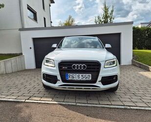 Audi SQ5 Gebrauchtwagen
