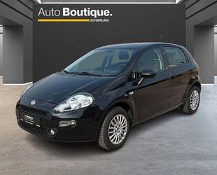 Fiat Punto Gebrauchtwagen